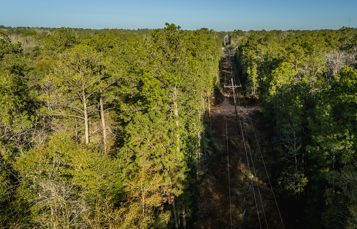 Ivanhoe 40, 40 Acre Ranch For Sale In Tyler County Image 9