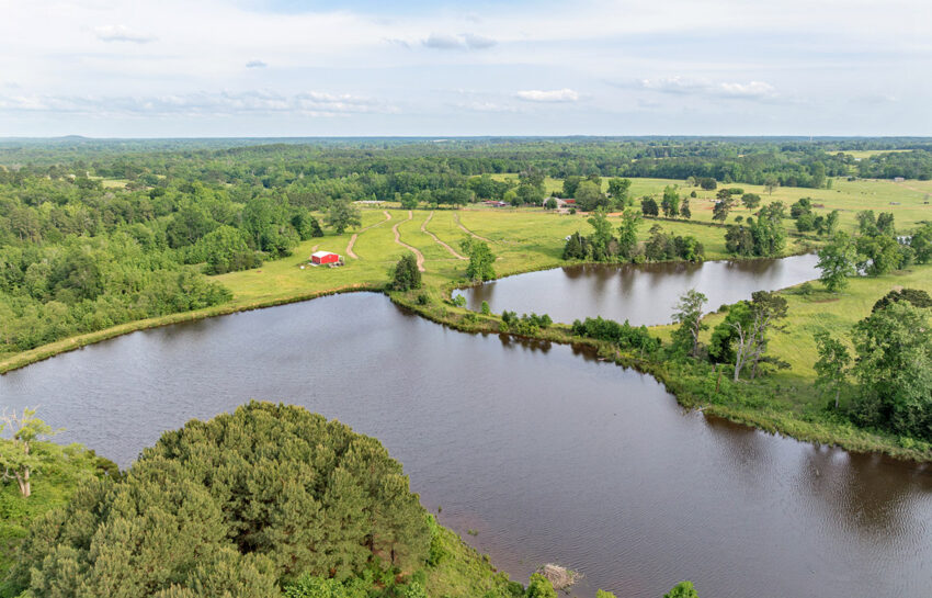 Crepe Myrtle Ranch 43 Acre Ranch For Sale In Upshur County Image 11