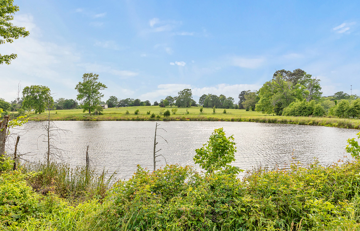 Crepe Myrtle Ranch 43 Acre Ranch For Sale In Upshur County Image 3
