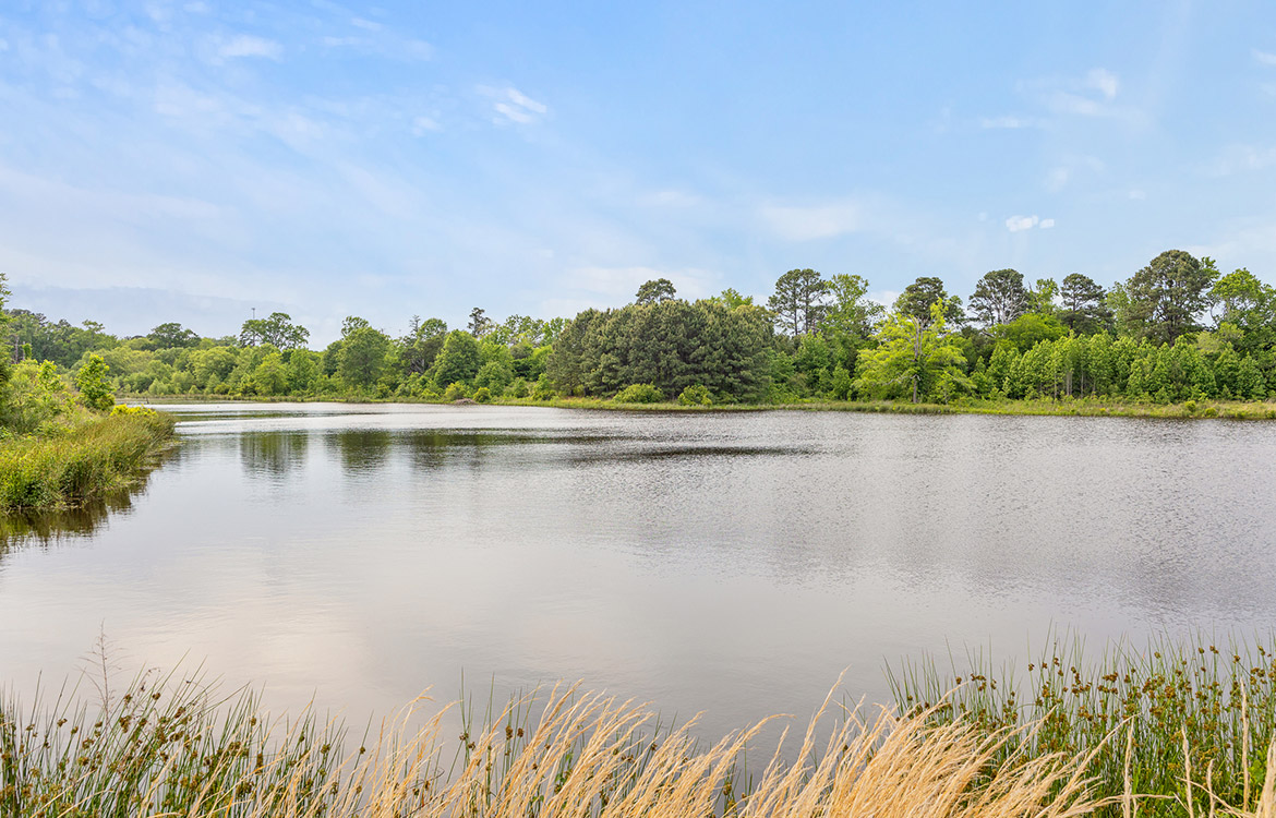 Crepe Myrtle Ranch 43 Acre Ranch For Sale In Upshur County Image 5