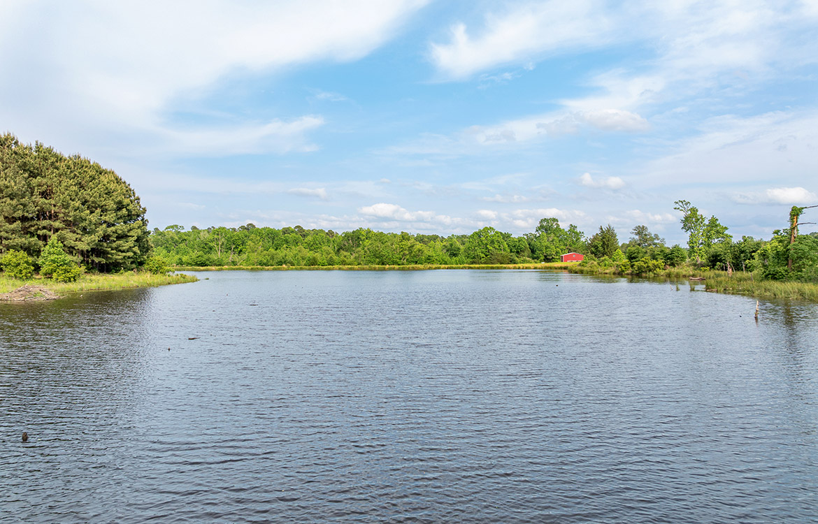 Crepe Myrtle Ranch 43 Acre Ranch For Sale In Upshur County Image 6