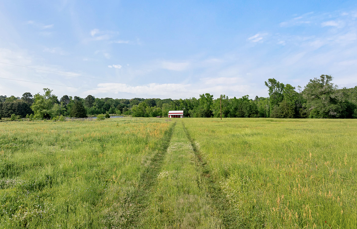 Crepe Myrtle Ranch 43 Acre Ranch For Sale In Upshur County Image 7