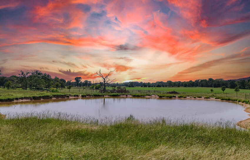 Headlight Ranch 147 Acre Ranch For Sale In Van Zandt County Image 1