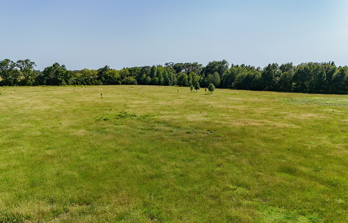 Headlight Ranch 147 Acre Ranch For Sale In Van Zandt County Image 8