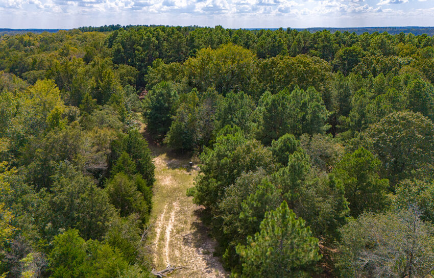 The Woods Ranch 235 Acre Ranch For Sale In Van Zandt County Image 7