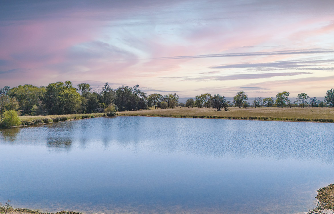 South End Ranch