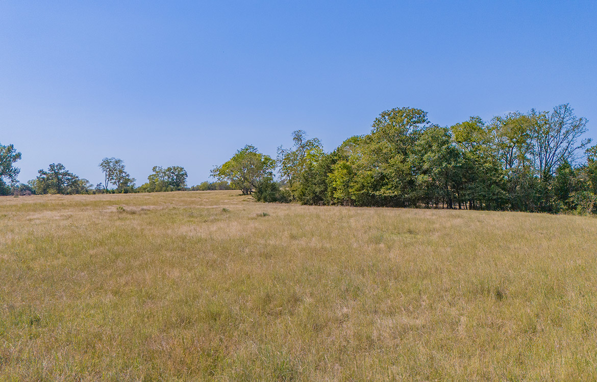 South End Ranch 35 Acre Ranch Van Zandt County Image 6