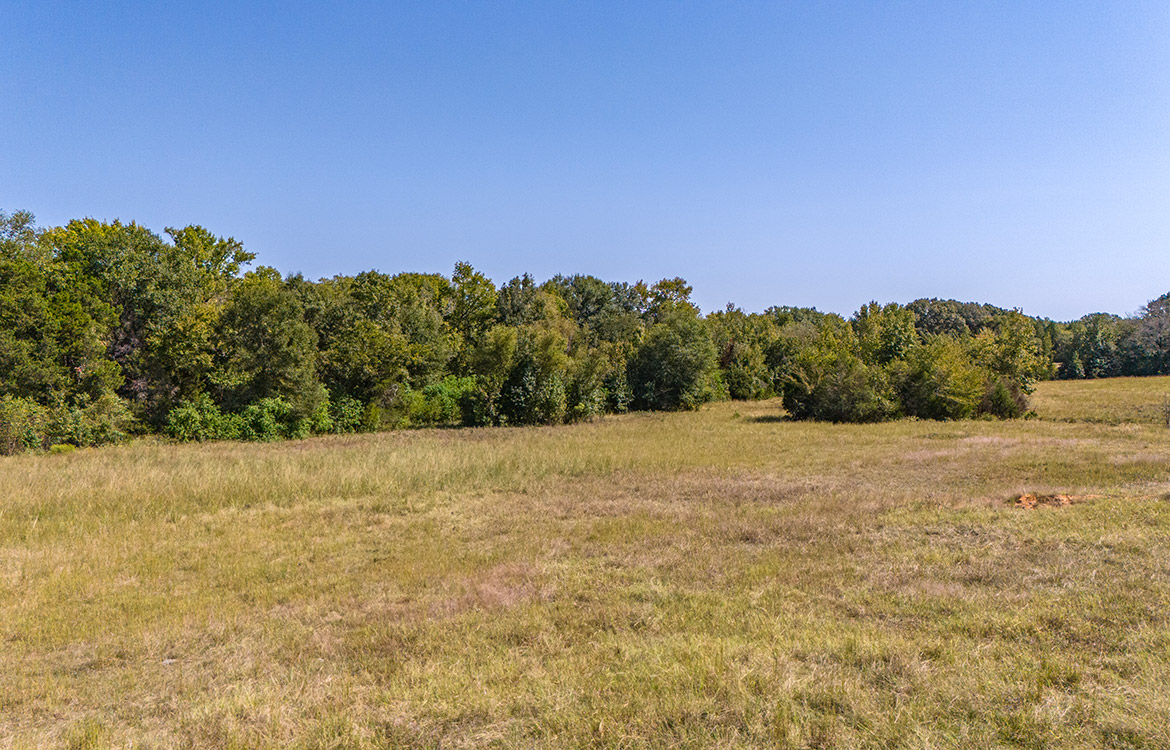 South End Ranch 35 Acre Ranch Van Zandt County Image 7