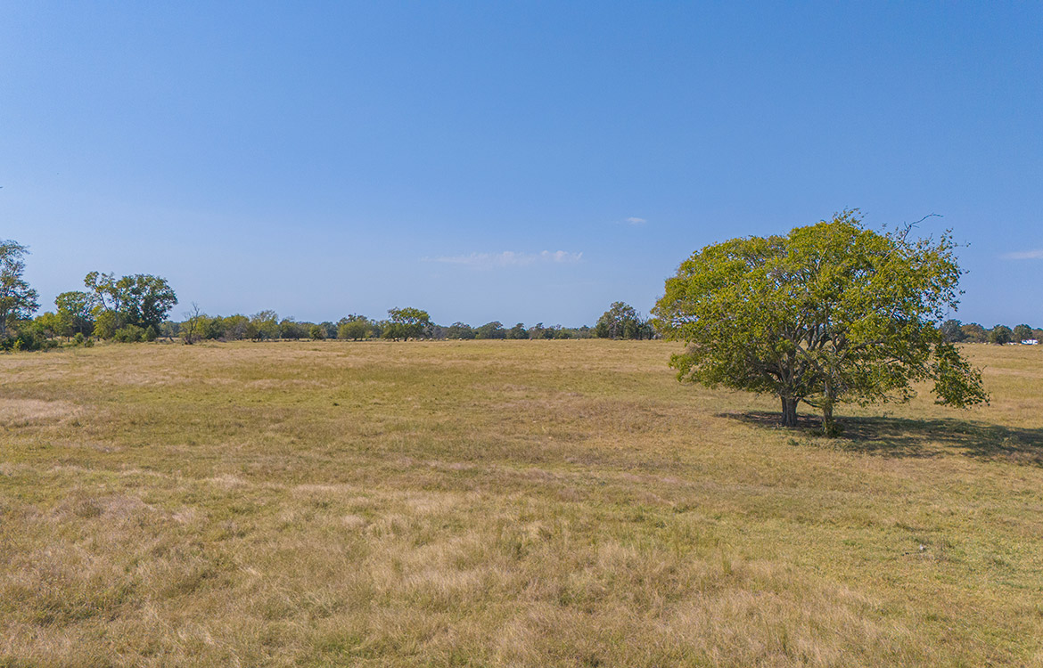 South End Ranch 35 Acre Ranch Van Zandt County Image 8