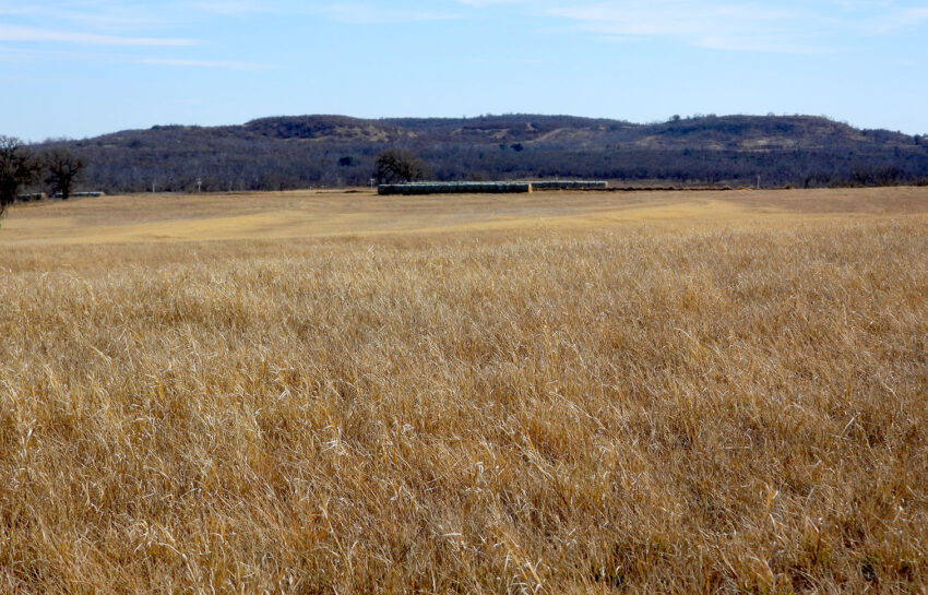 Rising Star Hay Farm 80 Acre Farm For Sale in Brown County Image 11