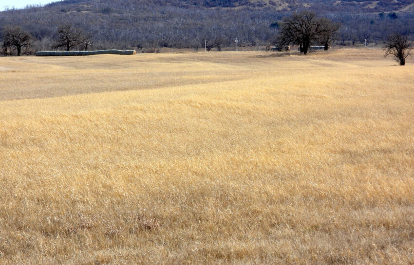 Rising Star Hay Farm 80 Acre Farm For Sale in Brown County Image 12