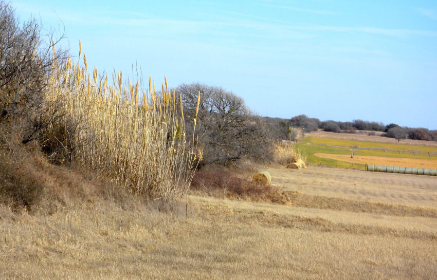 Rising Star Hay Farm 80 Acre Farm For Sale in Brown County Image 13