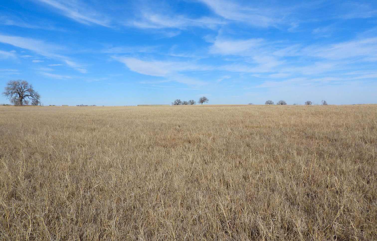 Rising Star Hay Farm 80 Acre Farm For Sale in Brown County Image 5