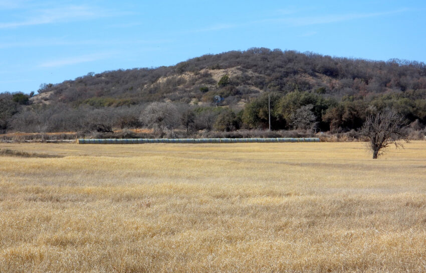 Rising Star Hay Farm 80 Acre Farm For Sale in Brown County Image 7