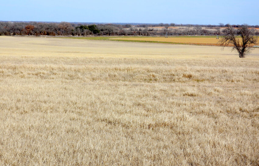 Rising Star Hay Farm 80 Acre Farm For Sale in Brown County Image 8