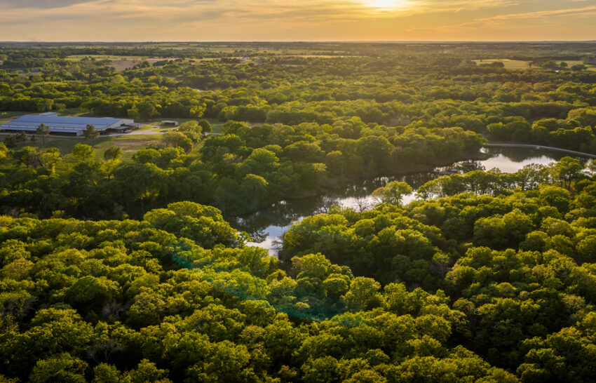 Spirit Ranch 109 Acre Horse Ranch for Sale in Grayson County Image 9