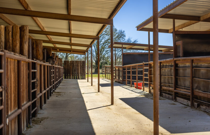 Triple Oaks Ranch 97 Acre Ranch For Sale In Hopkins County Image 18