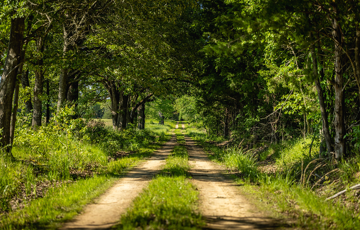 Red River Crossing Ranch 180 Acres For Sale In Lamar County Image 14