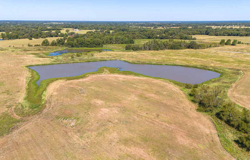 Pinnell Nichols Ranch 46 Acre Ranch For Sale In Titus County Image 6