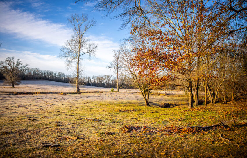 Silverlake Ranch 46 Acre Ranch For Sale in Titus County Image 14