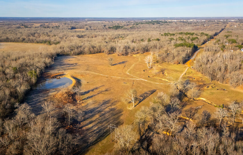 Silverlake Ranch 46 Acre Ranch For Sale in Titus County Image 19