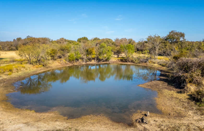Coastal FM 920 78 Acre Farm in Wise County Texas Image 14