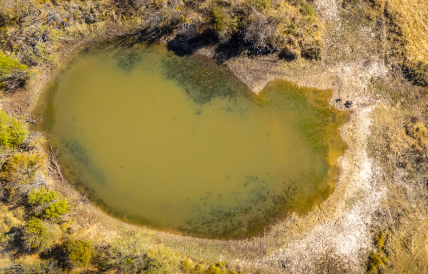 Coastal FM 920 78 Acre Farm in Wise County Texas Image 15