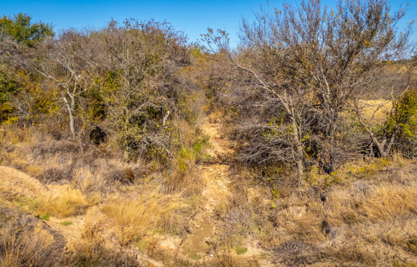 Coastal FM 920 78 Acre Farm in Wise County Texas Image 18