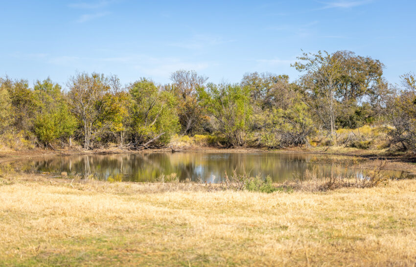 Coastal FM 920 78 Acre Farm in Wise County Texas Image 2