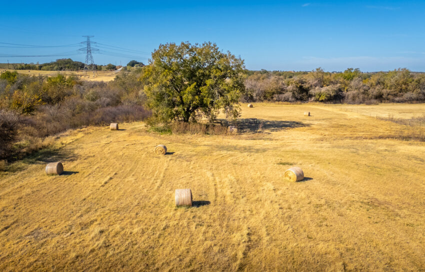 Coastal FM 920 78 Acre Farm in Wise County Texas Image 4
