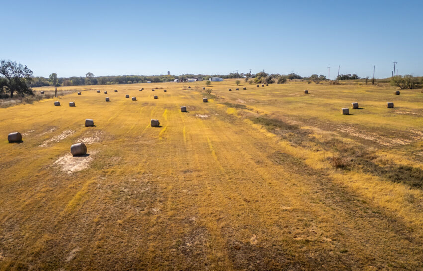 Coastal FM 920 78 Acre Farm in Wise County Texas Image 8