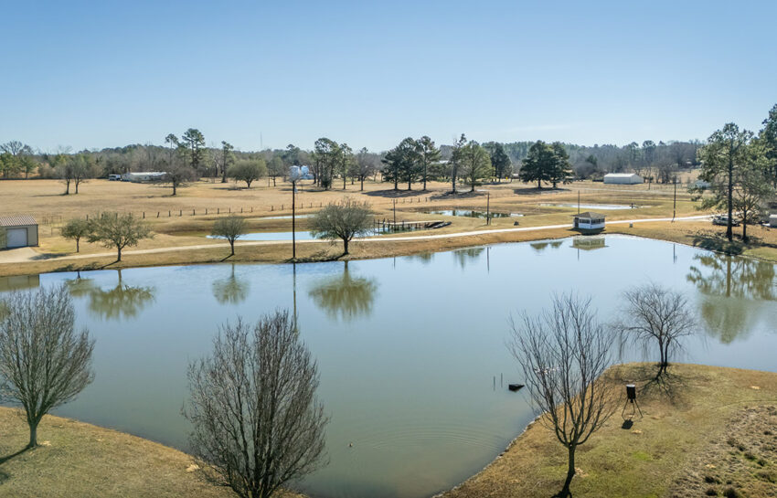 Naylor Ranch 21 Acre Ranch For Sale In Wood County Image 18