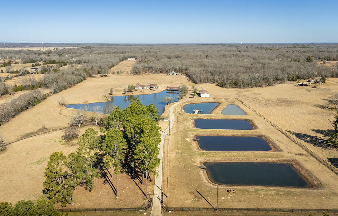 Naylor Ranch 21 Acre Ranch For Sale In Wood County Image 20