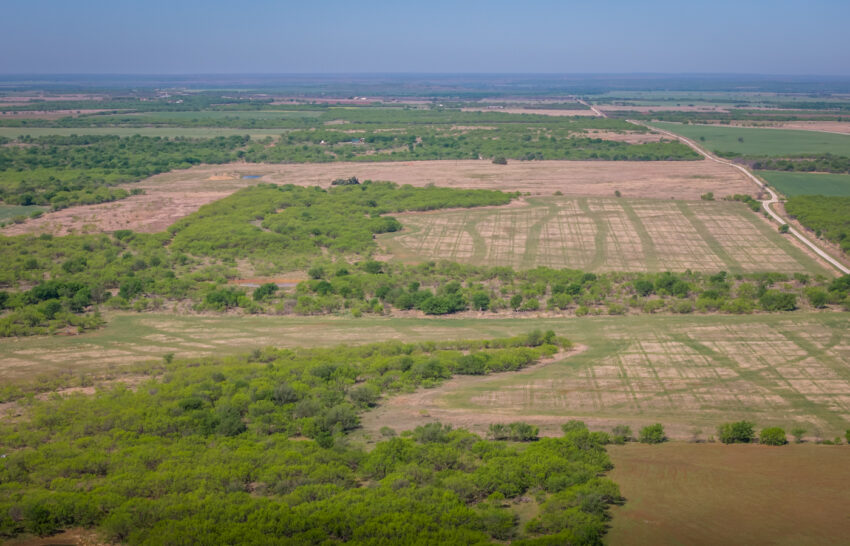 Eller Ranch 160 acre Ranch for sale in Young County Image 19