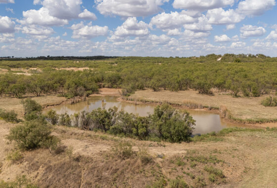 Olney Hunting Ranch 236 Acres For Sale in Young County Image 11