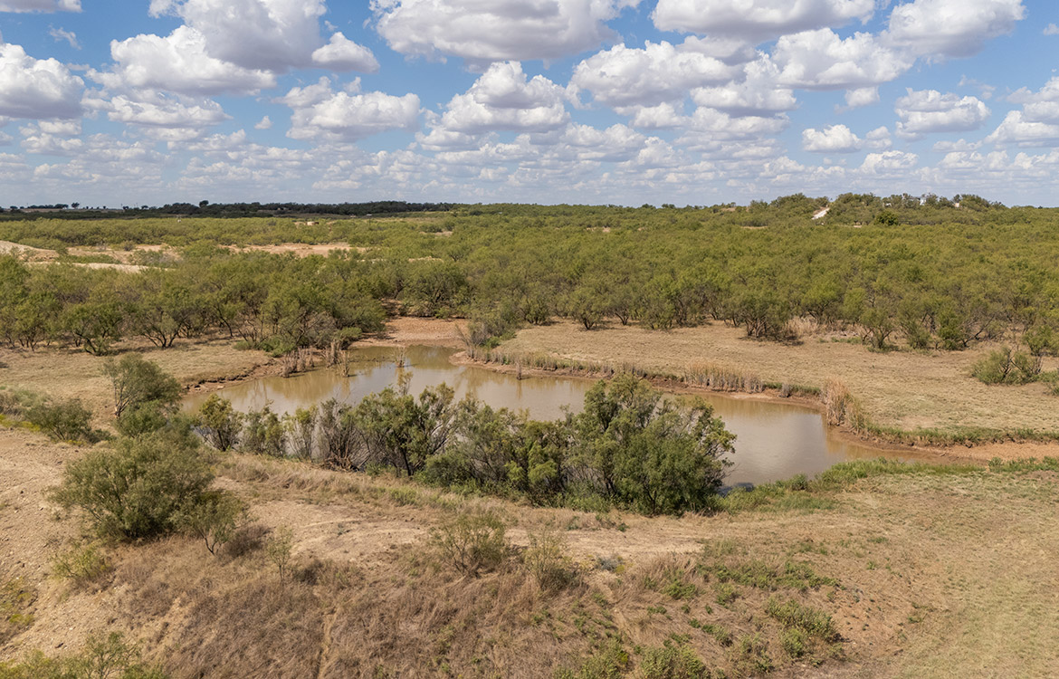 Olney Hunting Ranch 236 Acres For Sale in Young County Image 11
