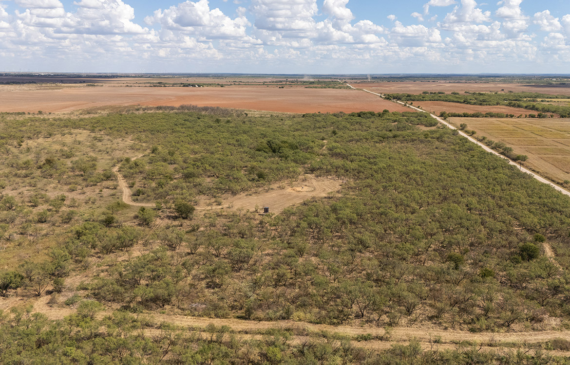 Olney Hunting Ranch 236 Acres For Sale in Young County Image 12