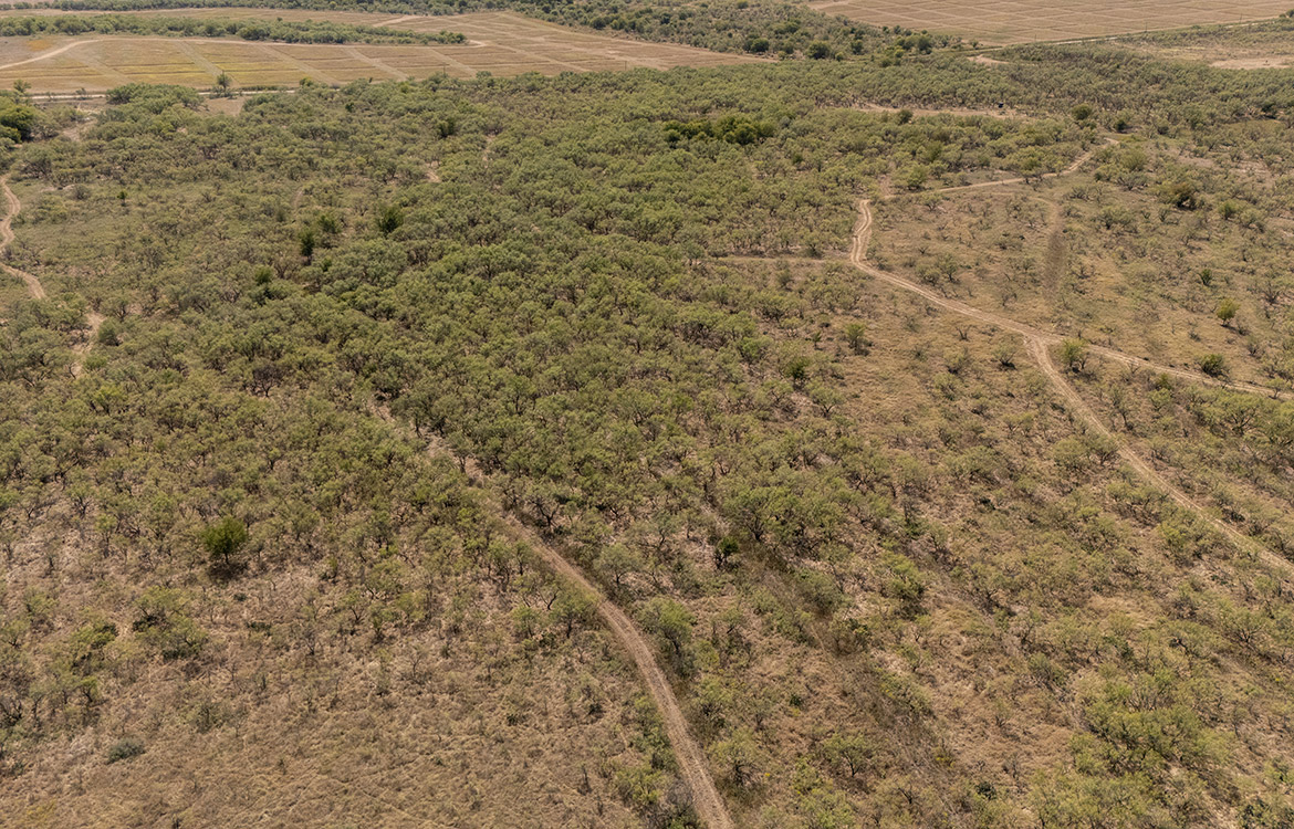 Olney Hunting Ranch 236 Acres For Sale in Young County Image 13
