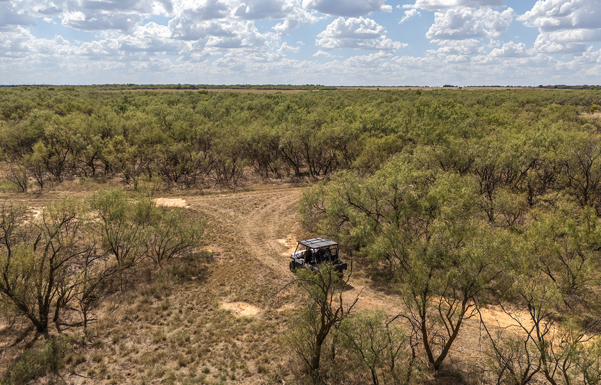 Olney Hunting Ranch 236 Acres For Sale in Young County Image 15
