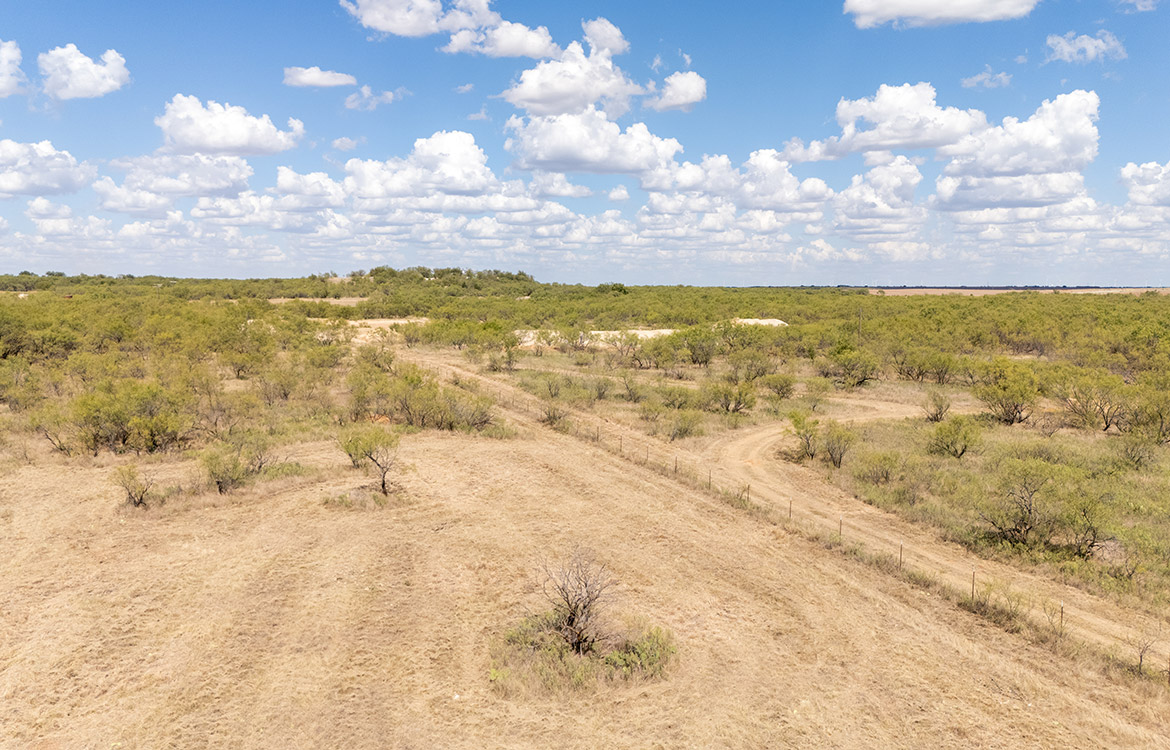 Olney Hunting Ranch 236 Acres For Sale in Young County Image 16