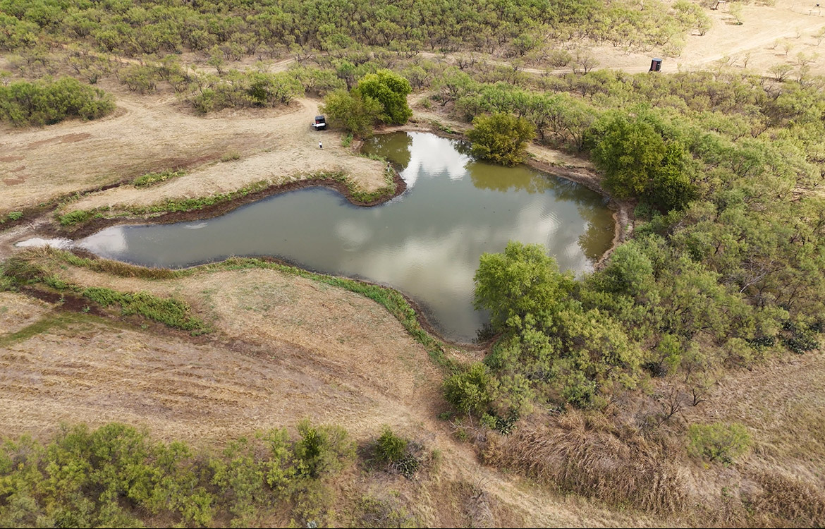 Olney Hunting Ranch 236 Acres For Sale in Young County Image 5