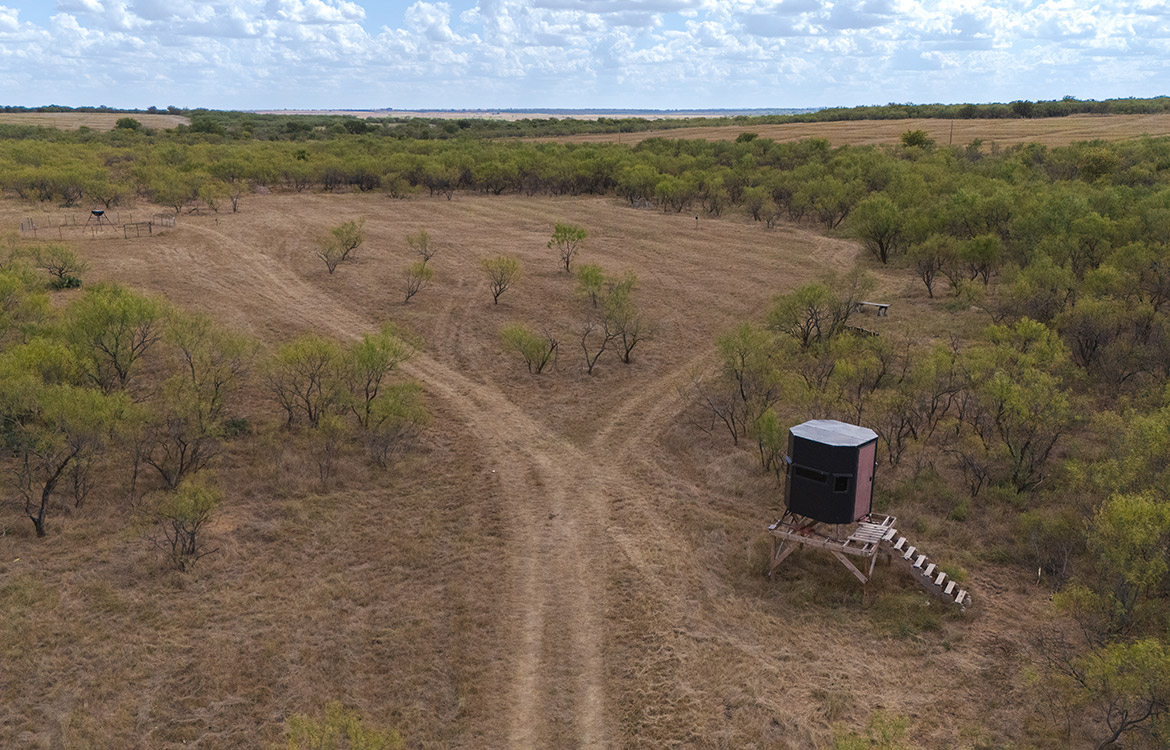 Olney Hunting Ranch 236 Acres For Sale in Young County Image 6