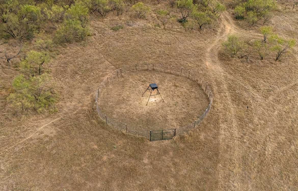 Olney Hunting Ranch 236 Acres For Sale in Young County Image 7