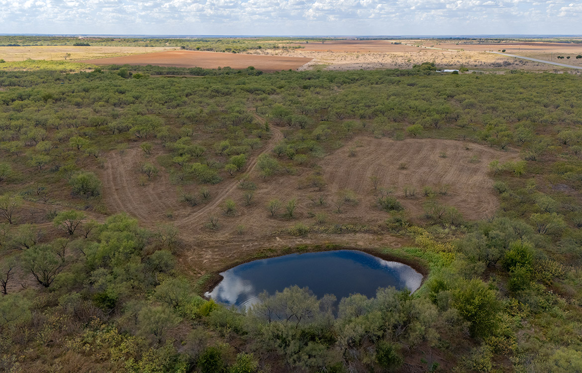 Olney Hunting Ranch 236 Acres For Sale in Young County Image 8