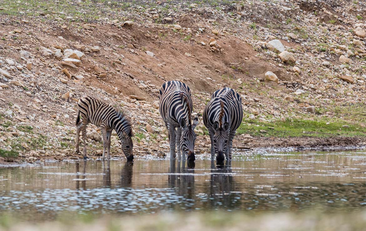 Medina River Ranch 340 Acre Ranch Bandera County Image 16