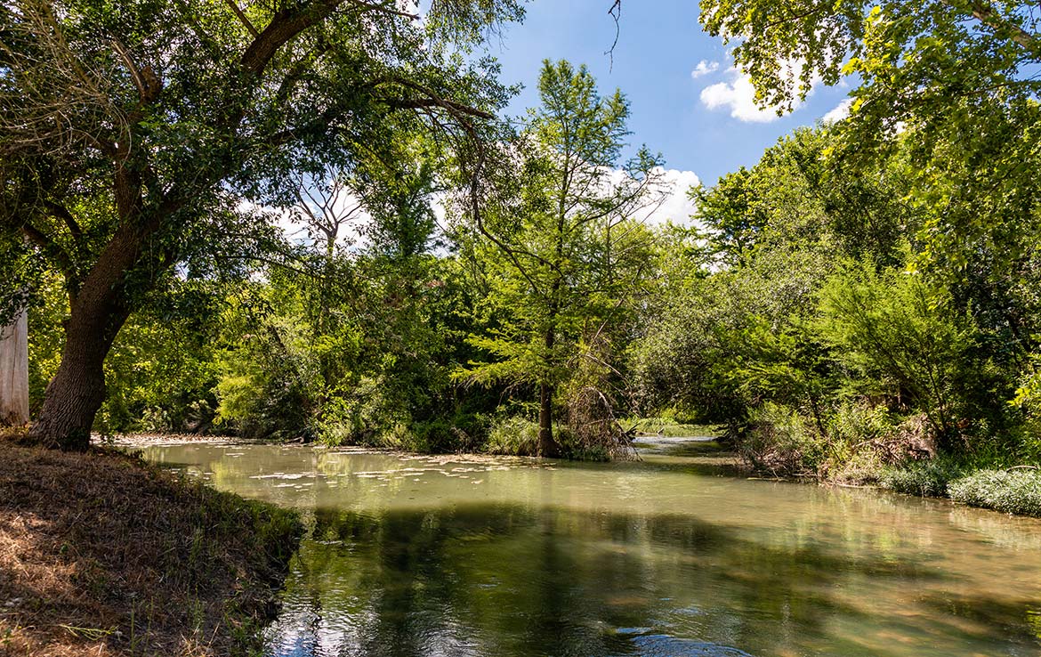 Riverside Ranch 170 Acre Ranch Bexar County Image 9
