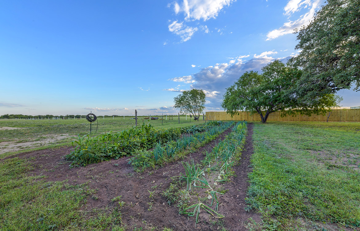 The Oaks of Saint Hedwig 32 Acre Ranch For Sale In Bexar County Image 15