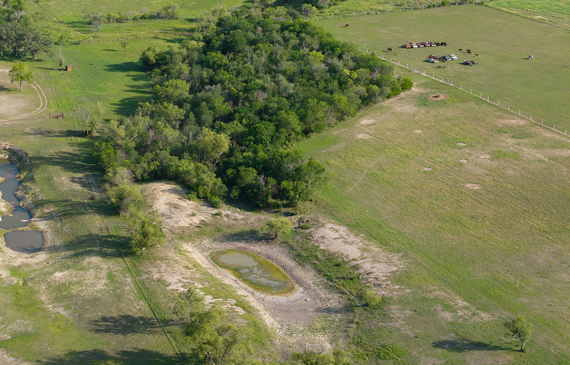 The Oaks of Saint Hedwig 32 Acre Ranch For Sale In Bexar County Image 17