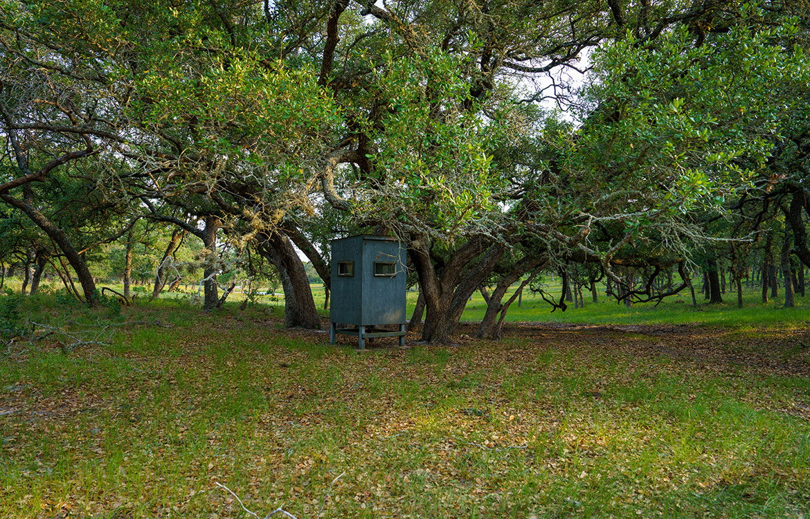 C Bar S Ranch 66 Acre Ranch For Sale In Guadalupe County Image 17