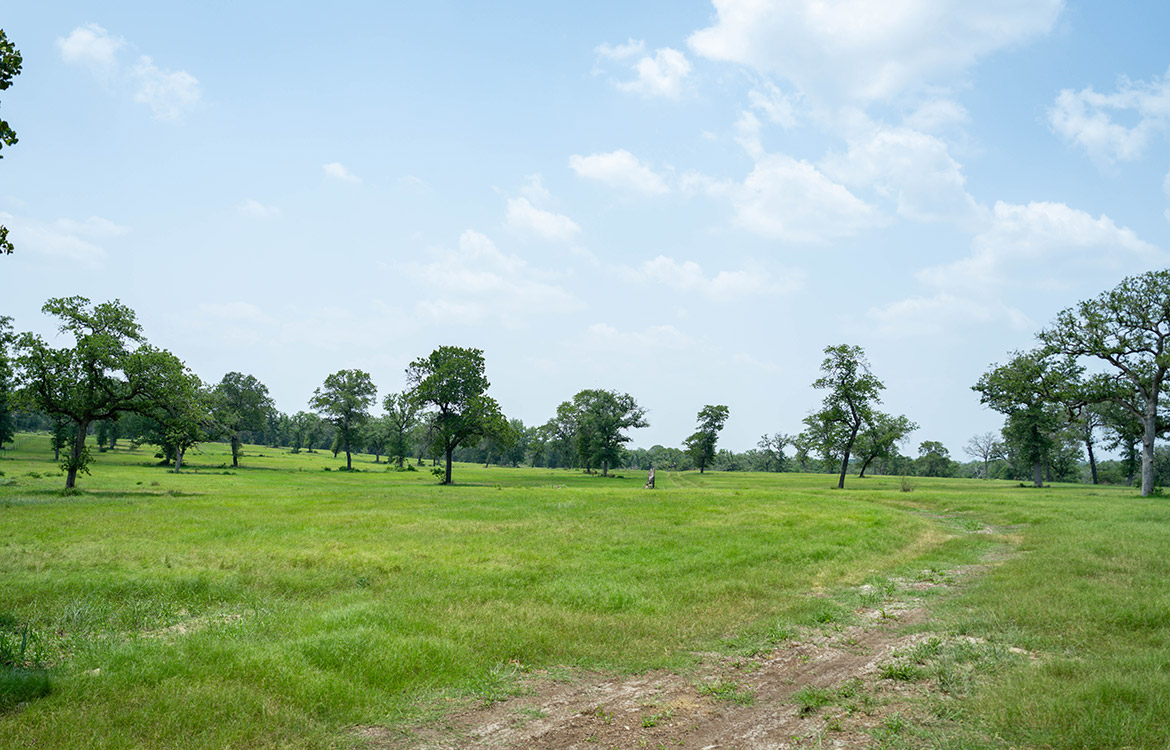 Rolling B Ranch 86 Acre Ranch For Sale In Guadalupe County Image 10